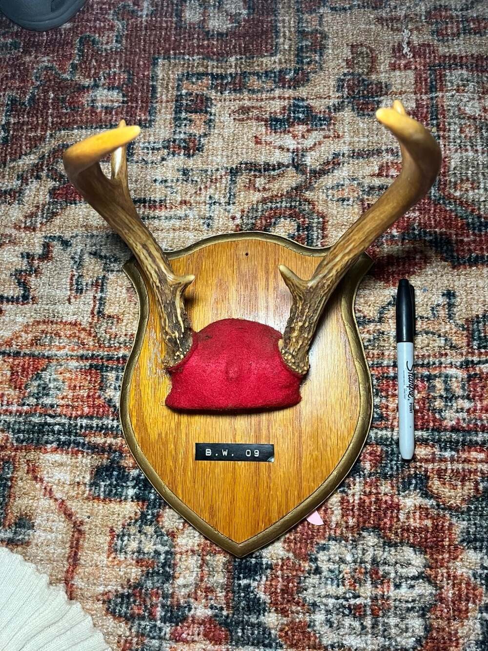 Vintage Deer Antler Wall Mount Taxidermy Plaque B.W. 09